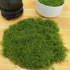 Simulation Moss Diy Artificial Moss Green Plant Decoration Landscaping Bonsai Pavement Silky Fake Moss