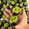 Simulated Mangkhut Crispy Handmade Ball Handmade Glitter Pinch Petal Building Blocks Fruit Release Stress Ball Stress Relief Toy