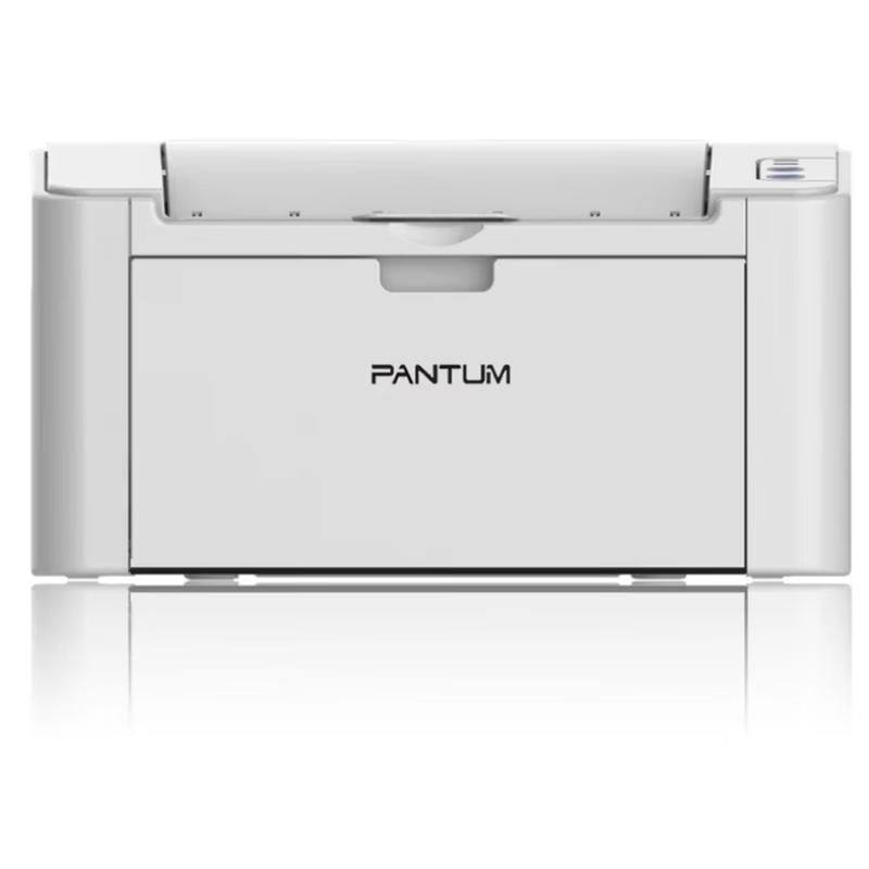 Монохромный лазерный принтер Pantum P2555 Штепсель CN (адаптер в комплекте)