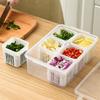 Green Onion, Garlic, and Ginger Fresh-Keeping Kitchen Storage Box with Drainer