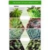 E27 AC85-265V Indoor Grow Lamp Full Spectrum LED For Plants Grow Light Bulb Plant Lamp Phyto Lamp