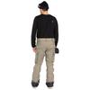 Volcom Брюки New Articulated