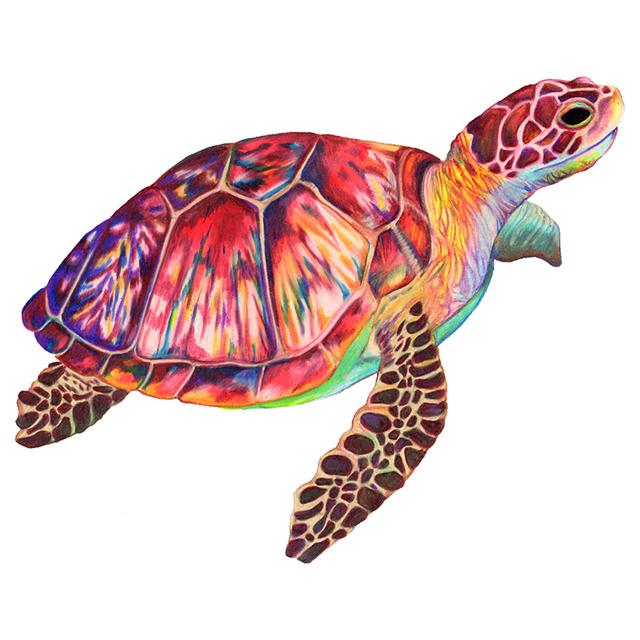 J525# For Sea Turtle Anime Sticker On The Car Vinyl Decal Waterproof Decoration Car Stickers