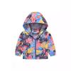 Куртка с капюшоном для мальчиков и девочек среднего и большого возраста с разноцветным принтом, легкие модели модных курток, детская одежда