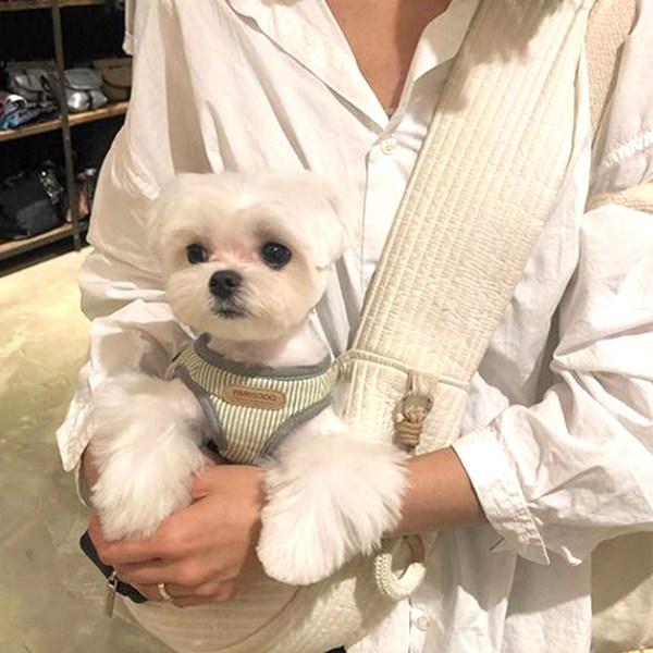 Сумка-слинг Lee Eun для выгула домашних животных, корейский шампунь для домашних животных