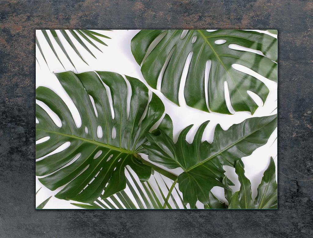 SZKLANA PŁYTA OCHRONNA NA KUCHENKĘ 70x52 MONSTERA