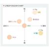 Clear Last Face Powder High Cover Matte Ochre N 12g Foundation Concealer UV Cut 4in1 Pore Coverage Color Variation Porcelain Skin