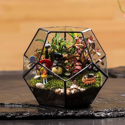 Офисный настольный дисплей, горшок для суккулентов, цветочный горшок, сказочный сад, многогранник, стеклянный геометрический террариум, бонсай