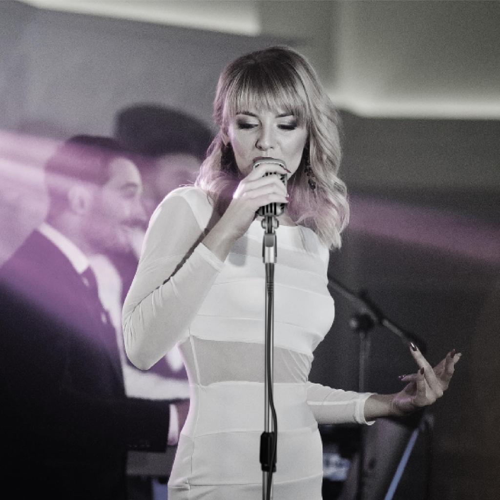 CAROL Retro Dynamic Microphone Ultra Unidirectional Skeleton Type Vocal Microphone Karaoke Microphone Classic Live Stage Performance Microphone Video