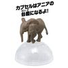 Takara Tomy Ania Elephant Animal Dinosaur Toy for Ages 3 and Up AC-02 (Children's)