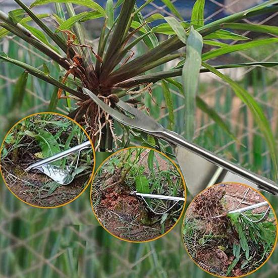 Из нержавеющей стали для удаления сорняков, садовый ручной прополочник, ручной прополочник с деревянной ручкой для двора, газона, фермерского инструмента для прополки