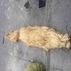 Сантехническая пеньковая нить Jundingying