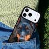 Doberman Pinscher Dog phone case cover Compatible with for IPhone 17air 16e 15 14 13 12 11Pro Max 17 Air