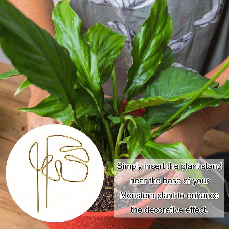 Reusable Metal Climbing Plant Stems Support Stake, Unique Design Plant Stake, Garden Decor, Flower Pot Decor, Plant Trellis, Ideal for Healthy Growth