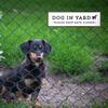 Знак «Собака во дворе», знак «Домашнее животное, семья, двор», настенный декор, деревянный знак «Держите ворота закрытыми» для владельцев собак в саду и дворе, подарок на новоселье