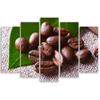 Five piece picture canvas print Coffee bean leaf