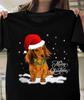 New! 2025 Merry Christmas Dachshund Dog Shirt JJ5763