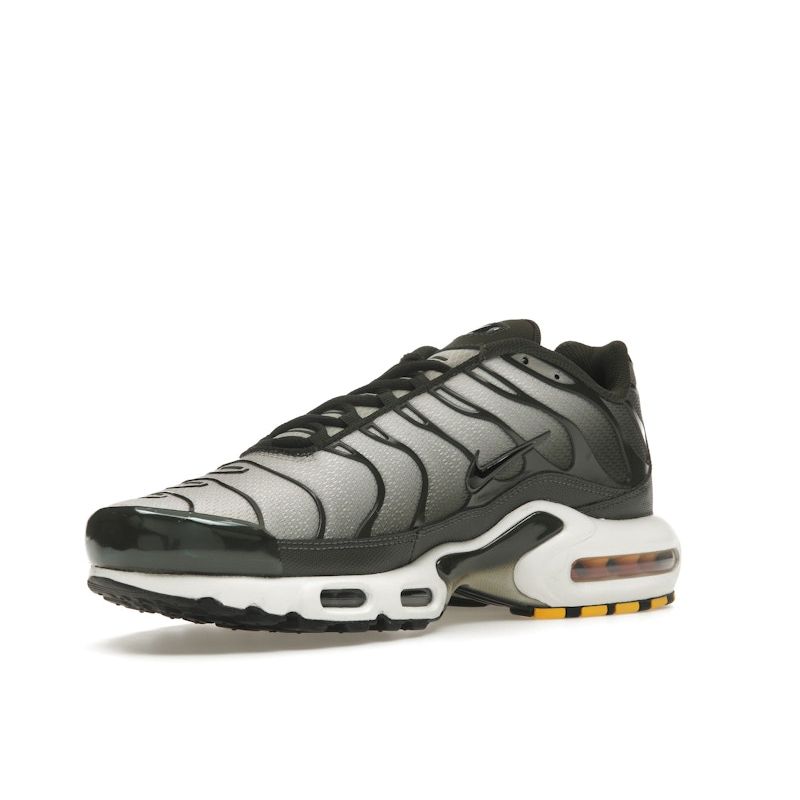 Nike Кроссовки Air Max Plus Sequoia Cargo Khaki Unisex Green Light-Bone Black DM0032-300