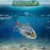 Proberos Multi Jointed Swimbait Fishing Lures Lifelike 8cm-16g Hard Bait With Treble Hook Multi Jointed Lures For Bass