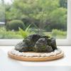 Реалистичная каменная скульптура Текстурированный искусственный с лишайником Неправильный искусственный камень для