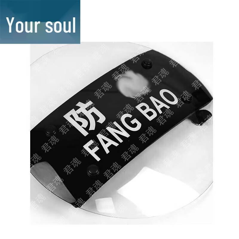 Handheld Riot Shield & Security Kit