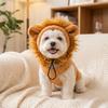 Simulated Lion Mane Plush Dog Lion Mane Hat 3D Fluffy Dog Transforming Costume  Winter Warm
