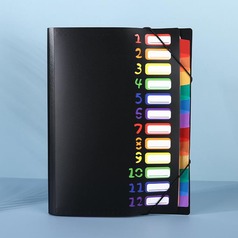 Colorful Tags A4 Folder with Month Divider - Durable Plastic Document Organizer Color Coded Calendar System