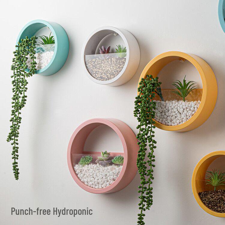 Nordic Wall-Mounted Round Pothos Planter: Creative Green Plant Decor & Fish Tank for Living Room