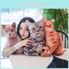 Симуляция 3d Кот Плюшевая Мягкая Игрушка Животное Кукла Украшение Комнаты Подарок День Рождения