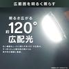 Iris Ohyama LED Floodlight Replacement Bulb [3000lm] LED Bulb LDR25D-H-E39-E2