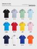 High-End Custom Embroidered Business Polo Shirt for Summer Work: Short Sleeve & Casual Lapel Design