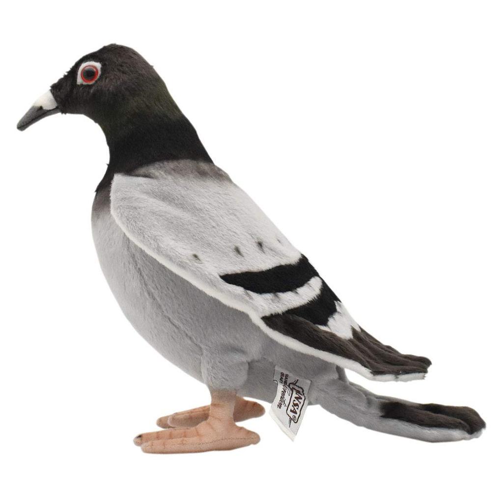 BH6299 HANSA Pigeon 29