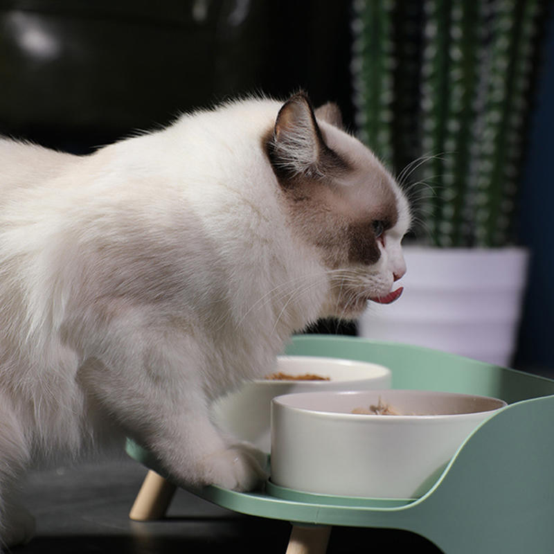 Double Feeding Bowl Collar Protect NONSLIP Ceramic Cat Feeding Bowl for Dog | DOGS EATING