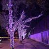 LED Starry Sky Outdoor String Lights - Colorful Decorative Holiday Lighting for Christmas & Weddings