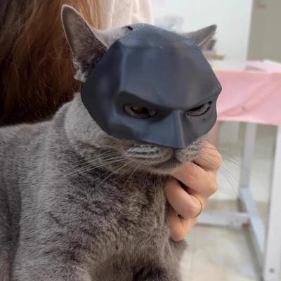 Кошачья маска Одежда Смешной кот Летучая мышь Летучая мышь для Хэллоуина Вечеринка по случаю дня рождения