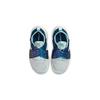 Nike Кроссовки детские Flex Advance SE PS Лапки Белый Чистый Платиновый Валерианово-Синий DQ6476-001