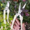 Stainless Steel Floral Scissors for Pruning and Grafting - Ideal for Flowers, Fruit Trees, and Garden Branches