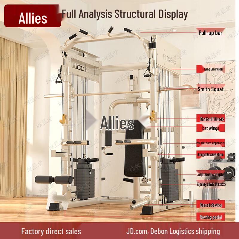 Ally Smith Home Gym System