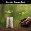 100 шт. мешков для рассады растений, нетканые мешки для рассады растений, тканевые мешки для рассады овощей, горшки для посадки, пересадки, мешки для выращивания растений, товары для дома и сада