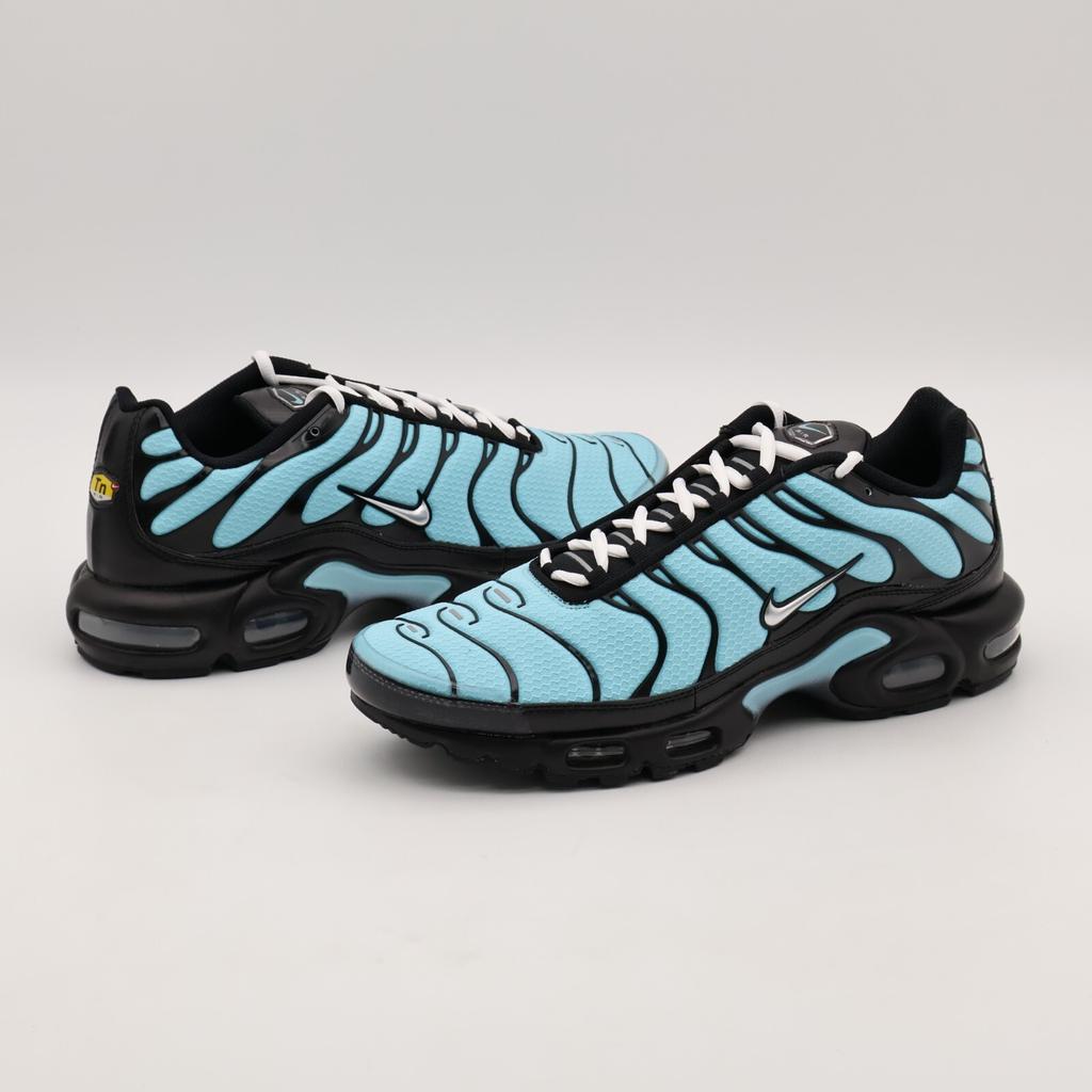 CV8838-400 Nike Air Max Plus Аква Черный Белый Металлический Серебристый (Мужской)