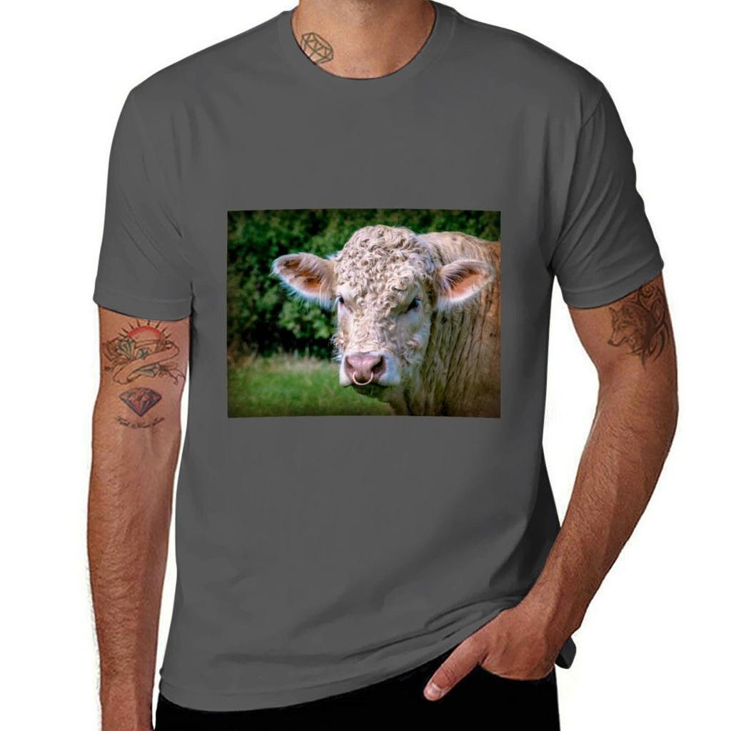 Charolais Bull Tshirt Antiperspiration Workout Top