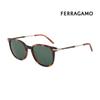 [Salvatore Ferragamo] Sunglasses SF1015S 214 Square UV Protection Women Men