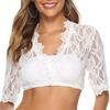 Women Sexy See-through Lace Bra Blouse V-neck Long Sleeve Cropped Lace Blouse Solid Color Thin Crop Top