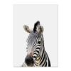 Modern Animal Elephant Giraffe Alpaca Lion Canvas Paiting Wall Art Prints And Posters Wall Pictures For Living Room Home Décor No Frame