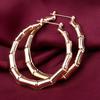 New Fashion Silver/Gold Color Party Exaggerated Bamboo Section Big Round Hoop Circle Earrings