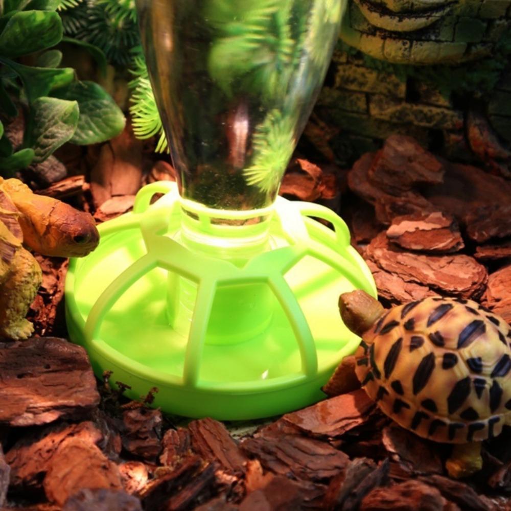 Accessories Turtle Food Container Lizard Food Bowel Reptile Feeder Tortoises Water Dispenser