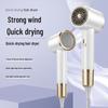 High-Speed Hair Dryer: Powerful Salon-Grade for Home, Hotel, or Homestay with Blue Light Technology