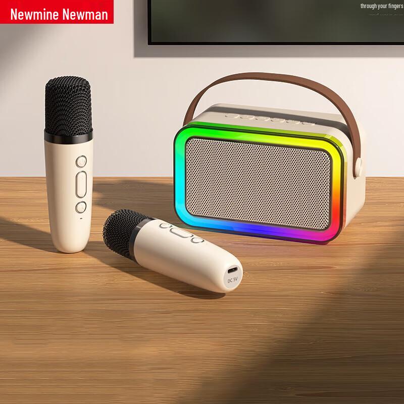 Newman DP97 Двойной Микрофон Караоке Bluetooth Динамик CN вилка (адаптер в комплекте)
