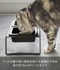 Подставка для мисок для корма для домашних животных Yamazaki Jitsugyo, высокая черная башня 4745, приблизительная. Ш29XГ15.5XВ10см