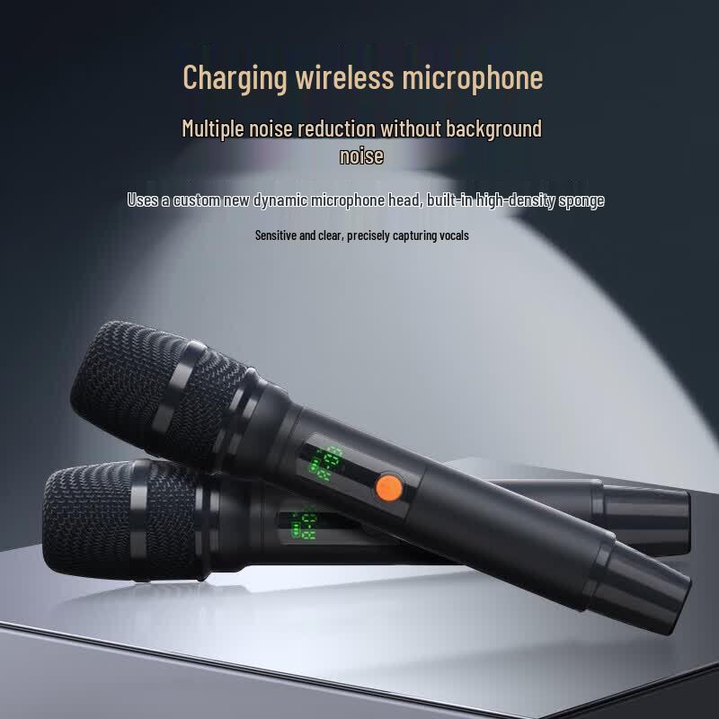SAST WD-50 Professional KTV & Stage Portable Speaker System (CN version)